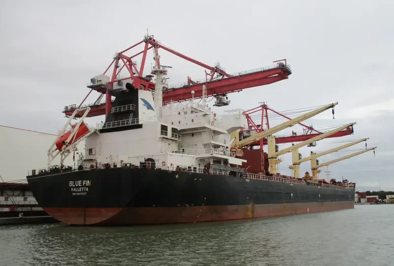 BLUE FIN Bulk Carrier IMO 9607277 photo 9