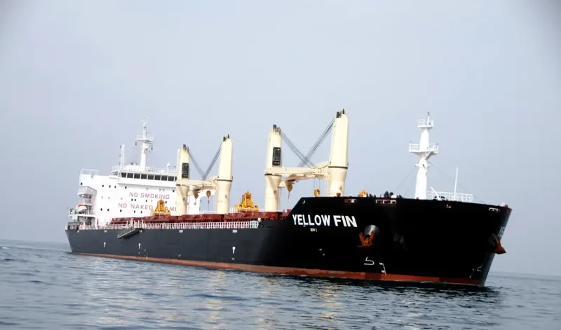 YELLOW FIN Bulk Carrier IMO 9607289