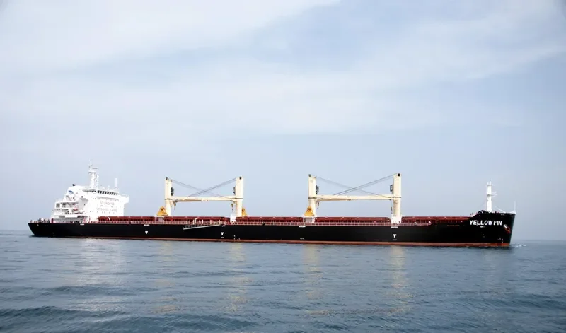 YELLOW FIN Bulk Carrier IMO 9607289 photo 2