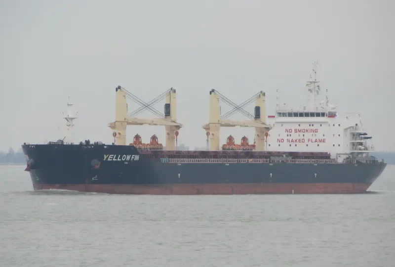 YELLOW FIN Bulk Carrier IMO 9607289 photo 4