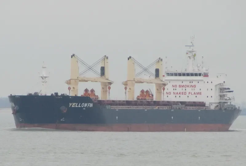 YELLOW FIN Bulk Carrier IMO 9607289 photo 5