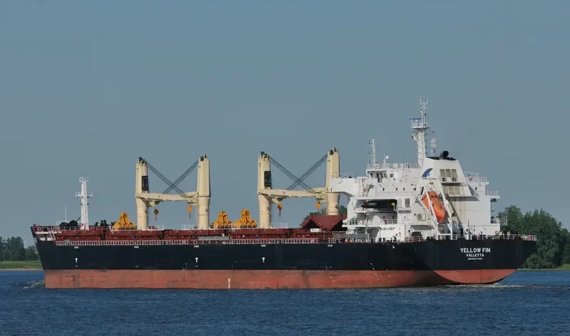 YELLOW FIN Bulk Carrier IMO 9607289 photo 6