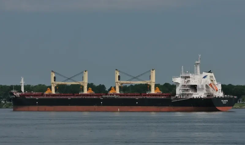 YELLOW FIN Bulk Carrier IMO 9607289 photo 8