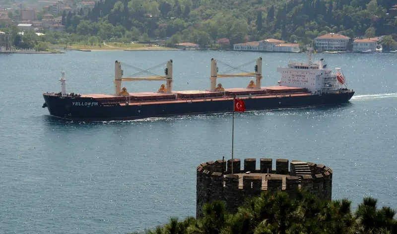 YELLOW FIN Bulk Carrier IMO 9607289 photo 9
