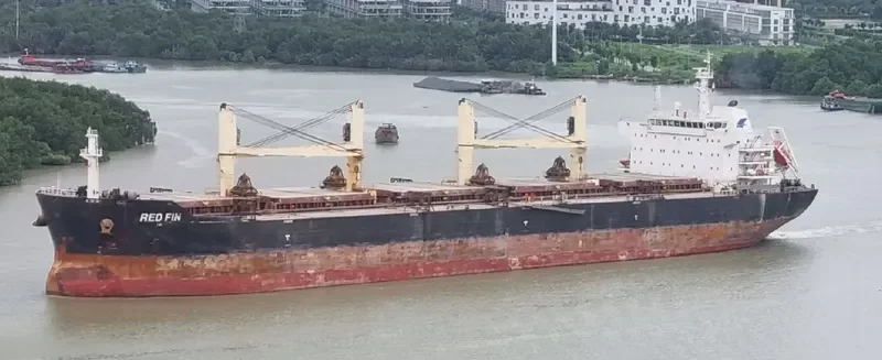 RED FIN Bulk Carrier IMO 9607306