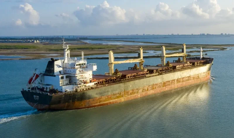 RED FIN Bulk Carrier IMO 9607306 photo 3