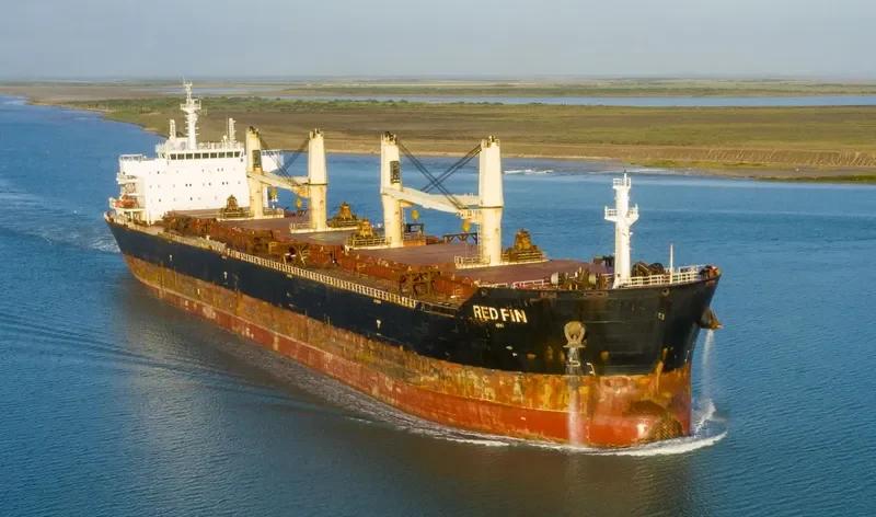 RED FIN Bulk Carrier IMO 9607306 photo 5