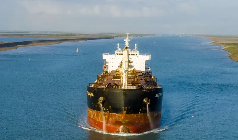 RED FIN Bulk Carrier IMO 9607306 photo 6
