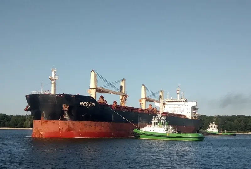 RED FIN Bulk Carrier IMO 9607306 photo 9