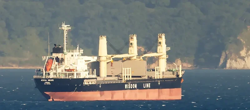 ATAYAL BRAVE Bulk Carrier IMO 9607590 photo 3