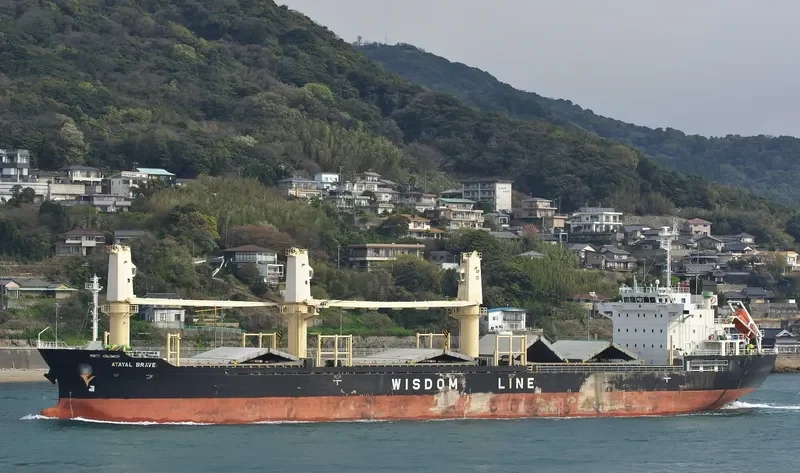 ATAYAL BRAVE Bulk Carrier IMO 9607590 photo 10