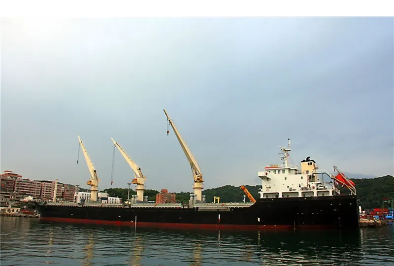 HONGSHENG 7 Bulk Carrier IMO 9607605 photo 2