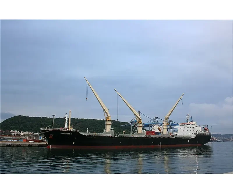 HONGSHENG 7 Bulk Carrier IMO 9607605 photo 4