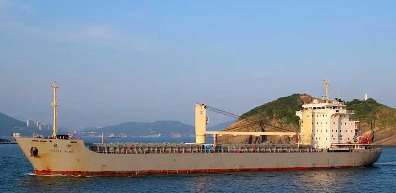 SILVER PEACE General Cargo IMO 9607655 photo 3