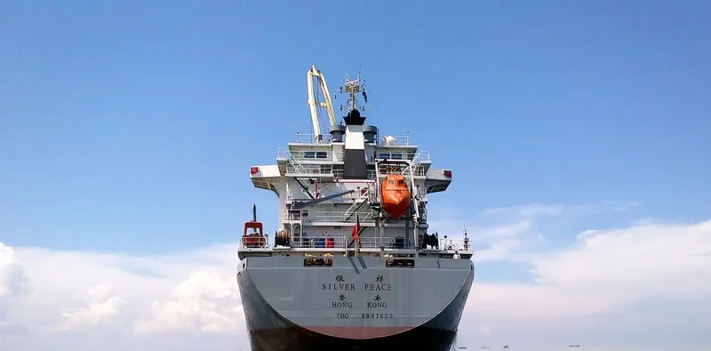 SILVER PEACE General Cargo IMO 9607655 photo 6