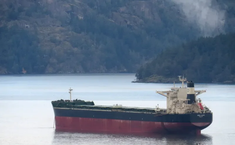 DENSA SHARK Bulk Carrier IMO 9607681