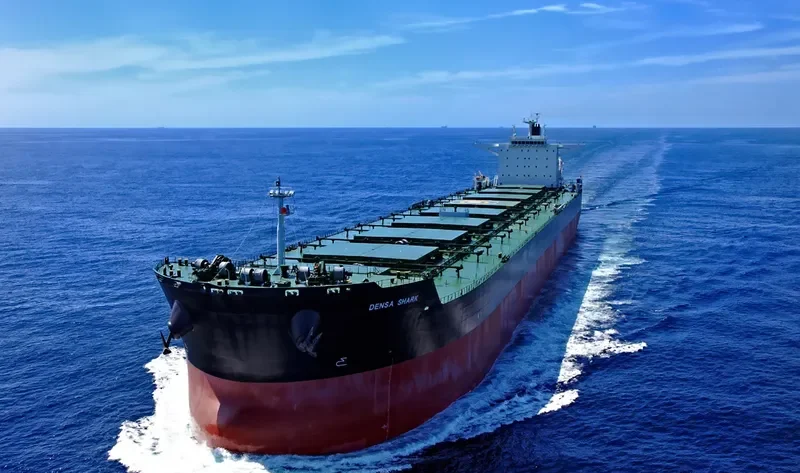 DENSA SHARK Bulk Carrier IMO 9607681 photo 5