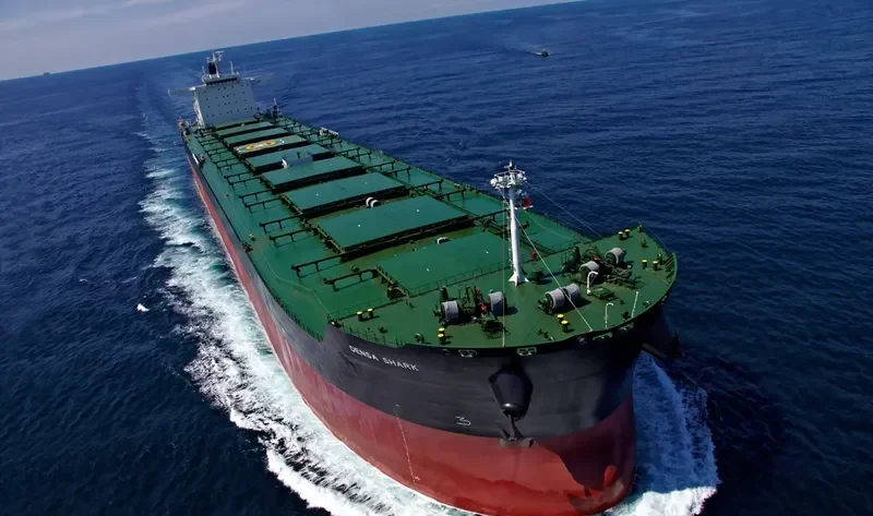 DENSA SHARK Bulk Carrier IMO 9607681 photo 6