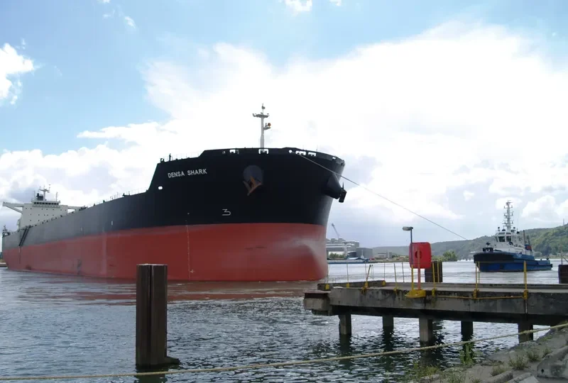 DENSA SHARK Bulk Carrier IMO 9607681 photo 8