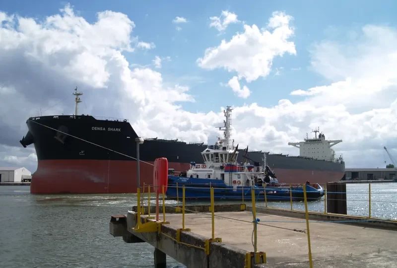 DENSA SHARK Bulk Carrier IMO 9607681 photo 9