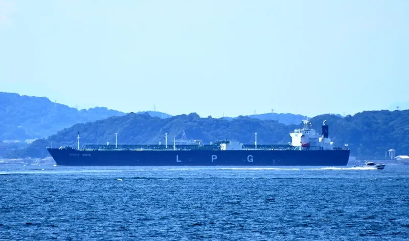 SUNNY VISTA General Cargo IMO 9607758 photo 8