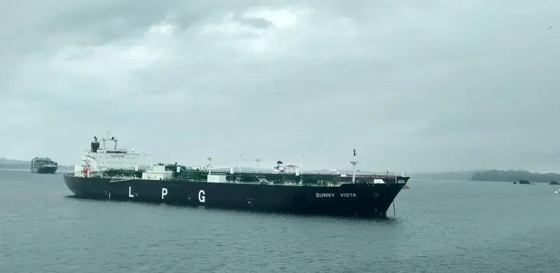 SUNNY VISTA General Cargo IMO 9607758 photo 10