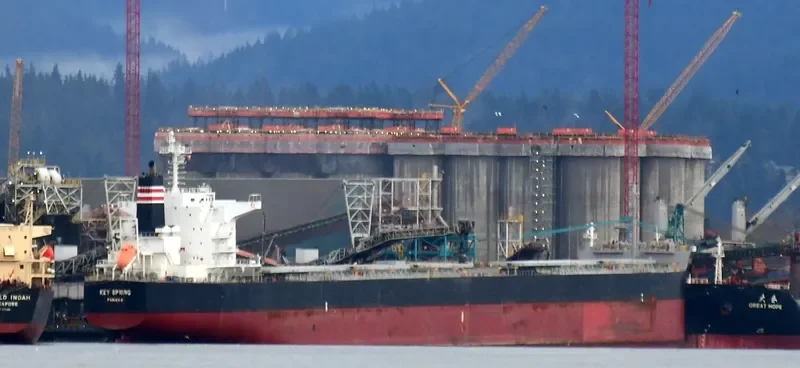 PATRA Bulk Carrier IMO 9607801 photo 3