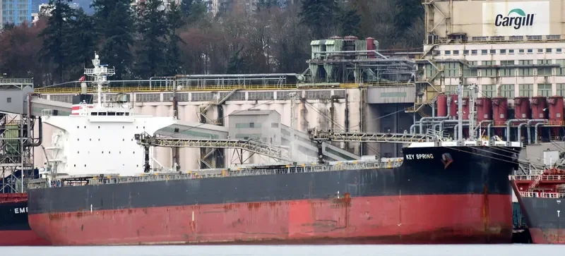 PATRA Bulk Carrier IMO 9607801 photo 5