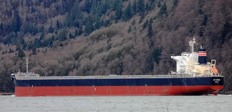PATRA Bulk Carrier IMO 9607801 photo 6
