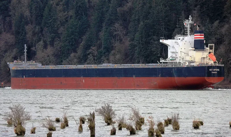 PATRA Bulk Carrier IMO 9607801 photo 7