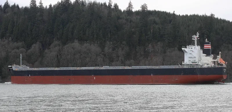 PATRA Bulk Carrier IMO 9607801 photo 8