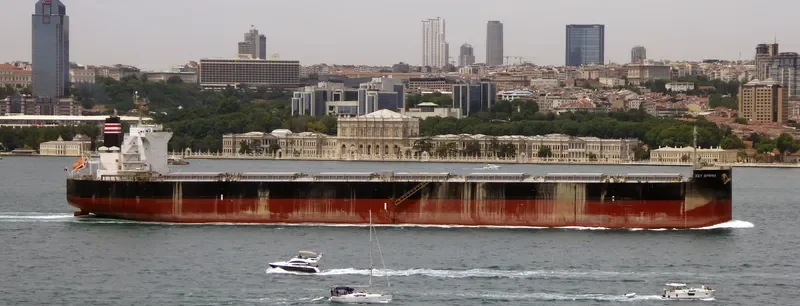 PATRA Bulk Carrier IMO 9607801 photo 10