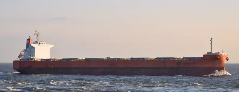 MELODIA Bulk Carrier IMO 9607813 photo 5