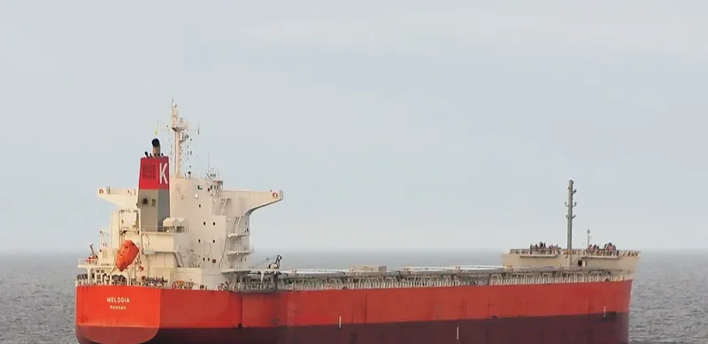 MELODIA Bulk Carrier IMO 9607813 photo 9