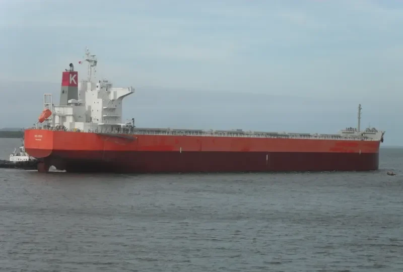 MELODIA Bulk Carrier IMO 9607813 photo 10