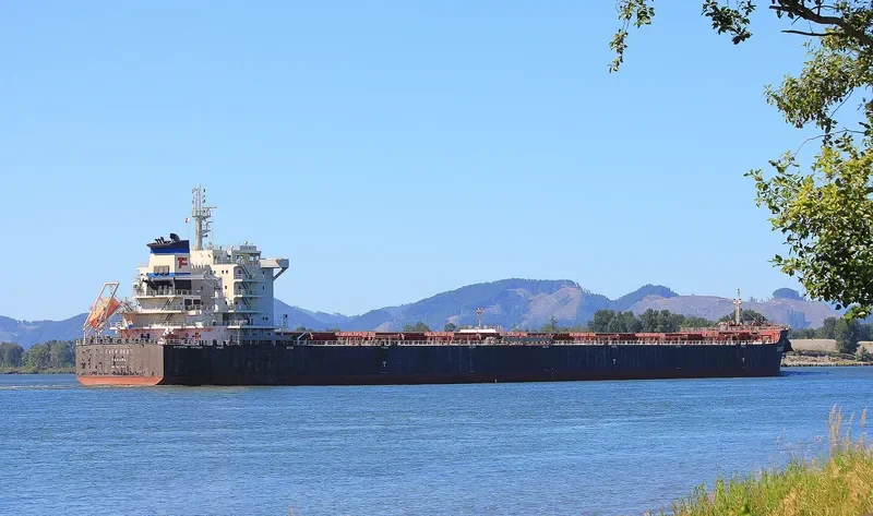 EVER BEST Bulk Carrier IMO 9607837 photo 2