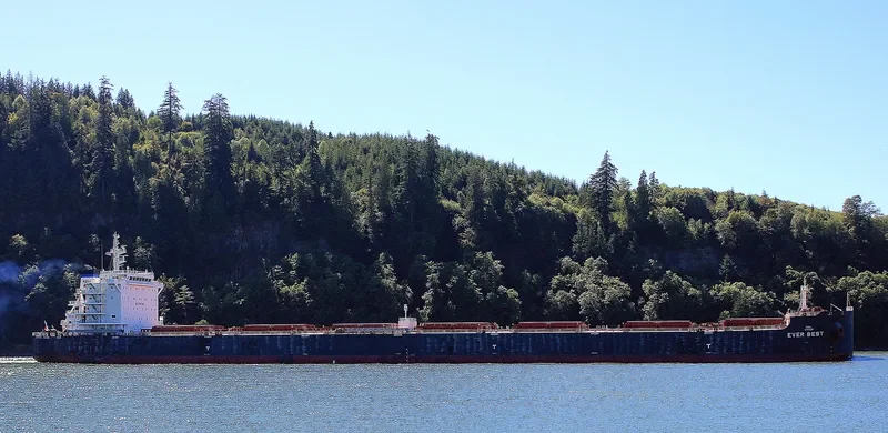 EVER BEST Bulk Carrier IMO 9607837 photo 3