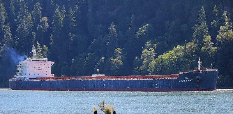 EVER BEST Bulk Carrier IMO 9607837 photo 4