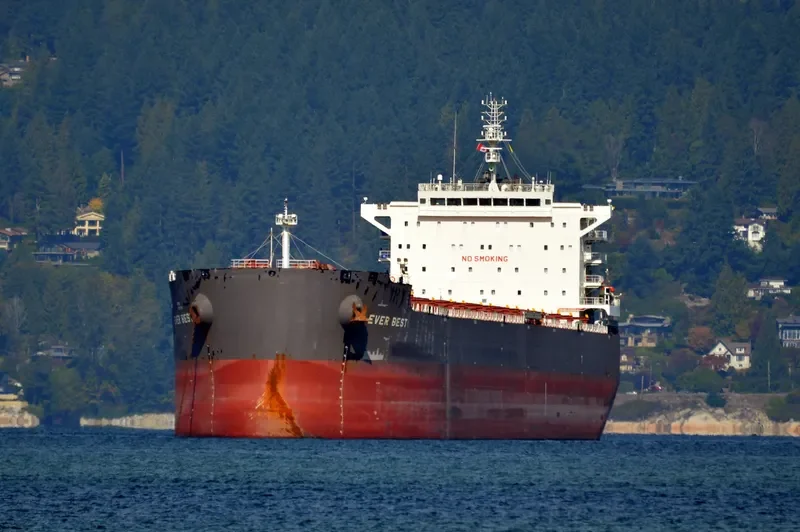 EVER BEST Bulk Carrier IMO 9607837 photo 5