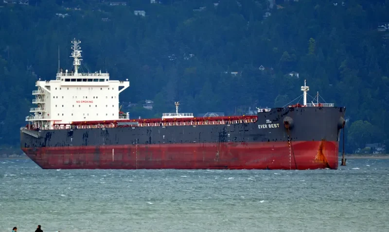 EVER BEST Bulk Carrier IMO 9607837 photo 8