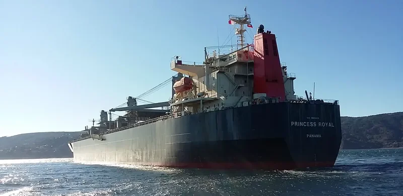 PRINCESS ROYAL Bulk Carrier IMO 9608219