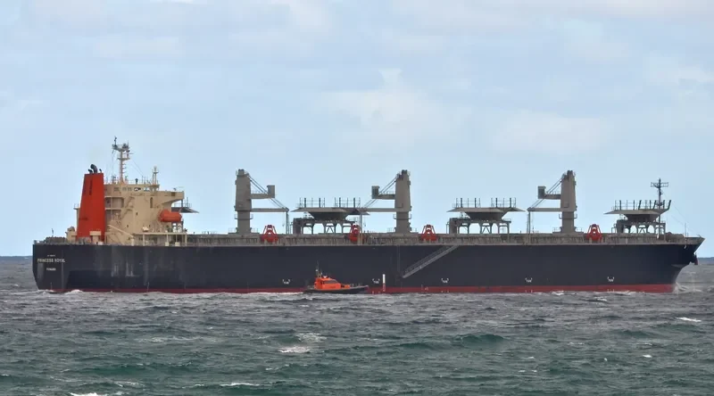 PRINCESS ROYAL Bulk Carrier IMO 9608219 photo 2