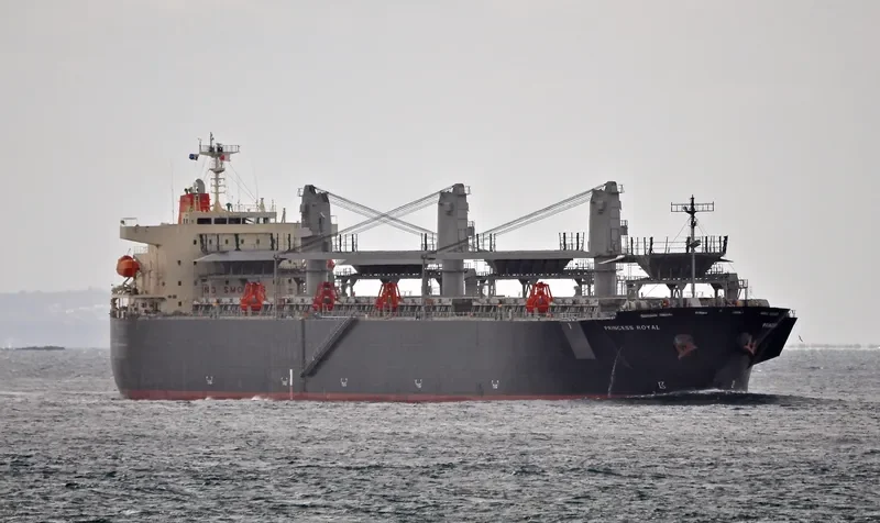 PRINCESS ROYAL Bulk Carrier IMO 9608219 photo 3