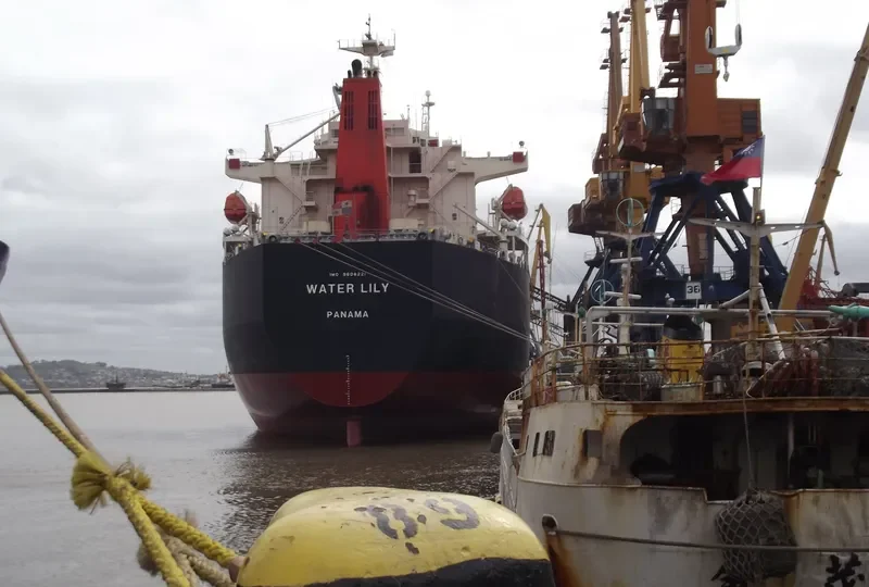 WATER LILY Bulk Carrier IMO 9608221 photo 2
