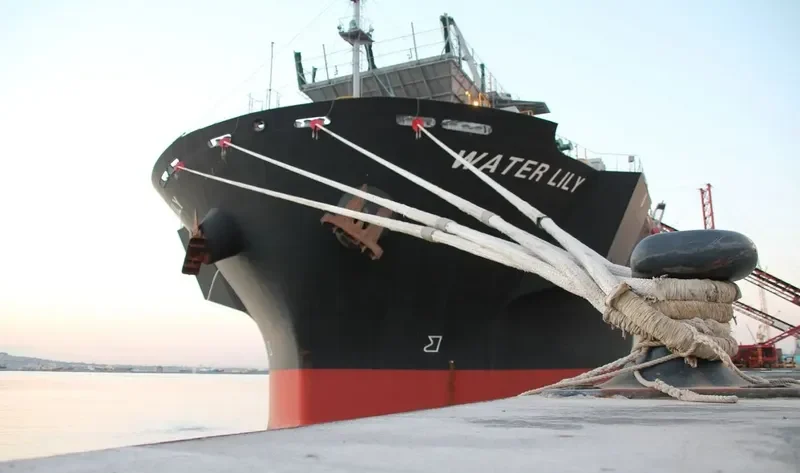 WATER LILY Bulk Carrier IMO 9608221 photo 3