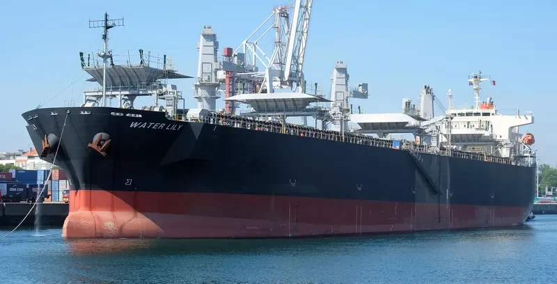 WATER LILY Bulk Carrier IMO 9608221 photo 5