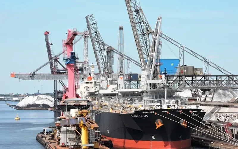 WATER LILY Bulk Carrier IMO 9608221 photo 7