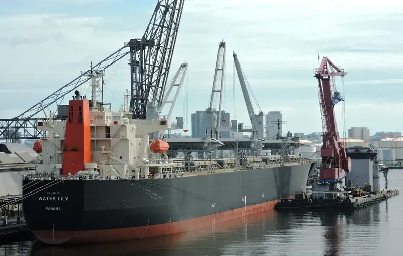WATER LILY Bulk Carrier IMO 9608221 photo 8