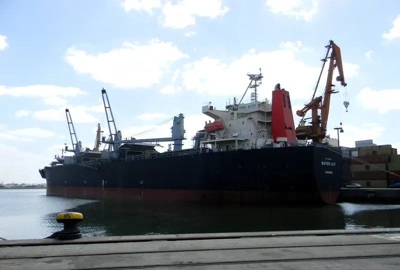 WATER LILY Bulk Carrier IMO 9608221 photo 10