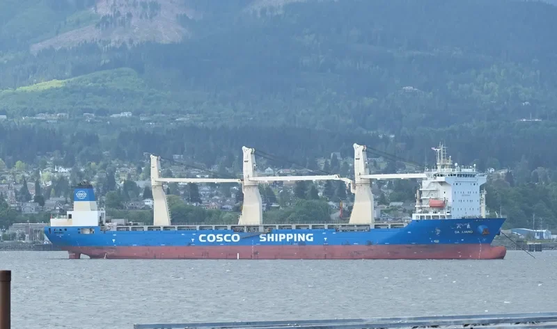 DA LIANG General Cargo IMO 9608415 photo 4